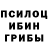 Псилоцибиновые грибы Cubensis PavlikToX Moiseev