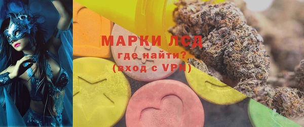 гашик Богородск